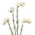 Vara statice spray artificial