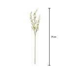 Vara catmint spray artificial