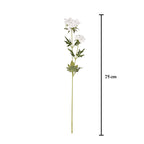 Vara queen anne lace artificial