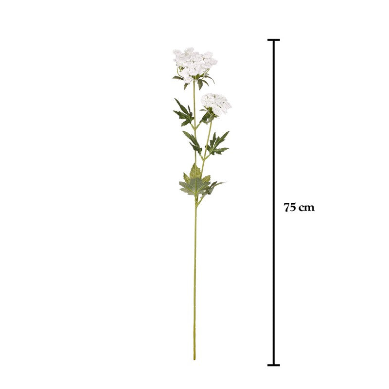 Vara queen anne lace artificial