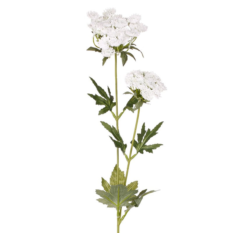 Vara queen anne lace artificial