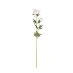 Vara queen anne lace artificial