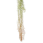 Colgante tilandsia artificial