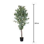 Árbol eucalipto artificial 180 cm