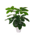 Planta cheflera artificial