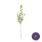 Vara eucalipto artificial 90 cm
