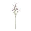 Vara pennisetum artificial fucsia