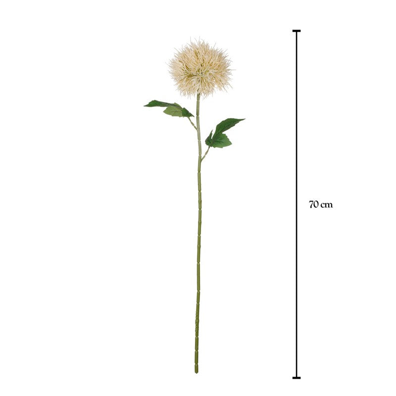 Vara taraxacum artificial crema