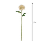 Vara taraxacum artificial crema