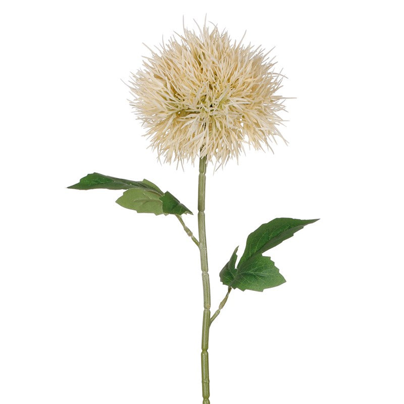 Vara taraxacum artificial crema