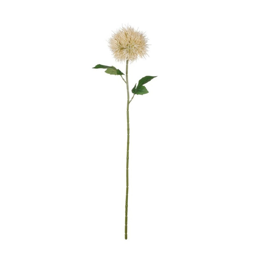 Vara taraxacum artificial crema