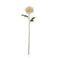Vara taraxacum artificial crema