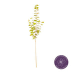 Vara eucalipto artificial 90 cm