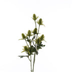 Vara eryngium artificial