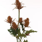 Vara eryngium artificial