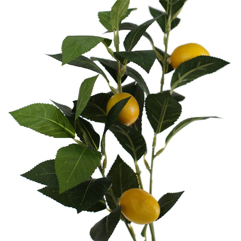Vara de limonero artificial
