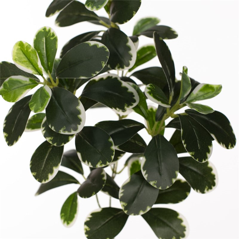 Vara euonymus artificial