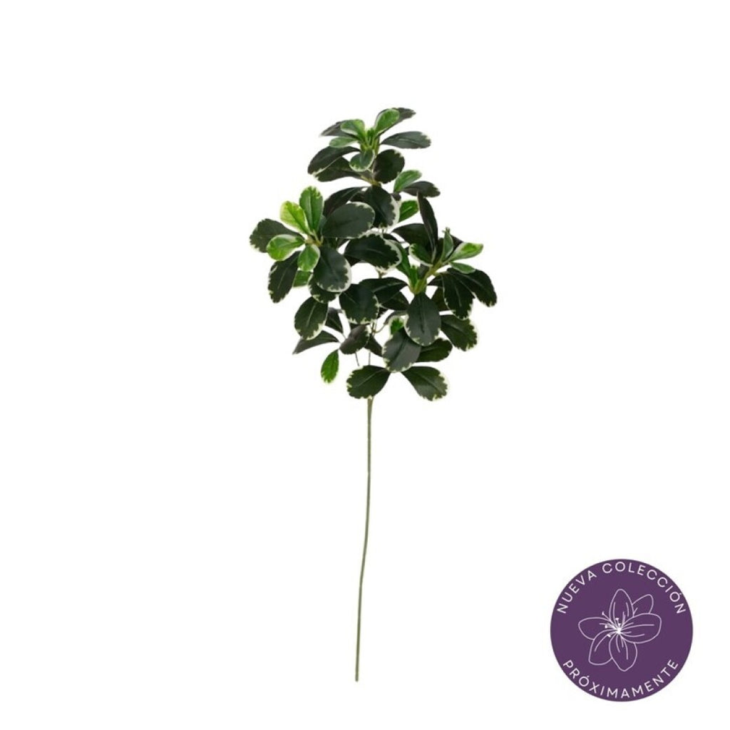 Vara euonymus artificial