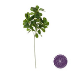 Vara euonymus artificial