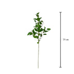 Vara ruscus aculeatus artificial