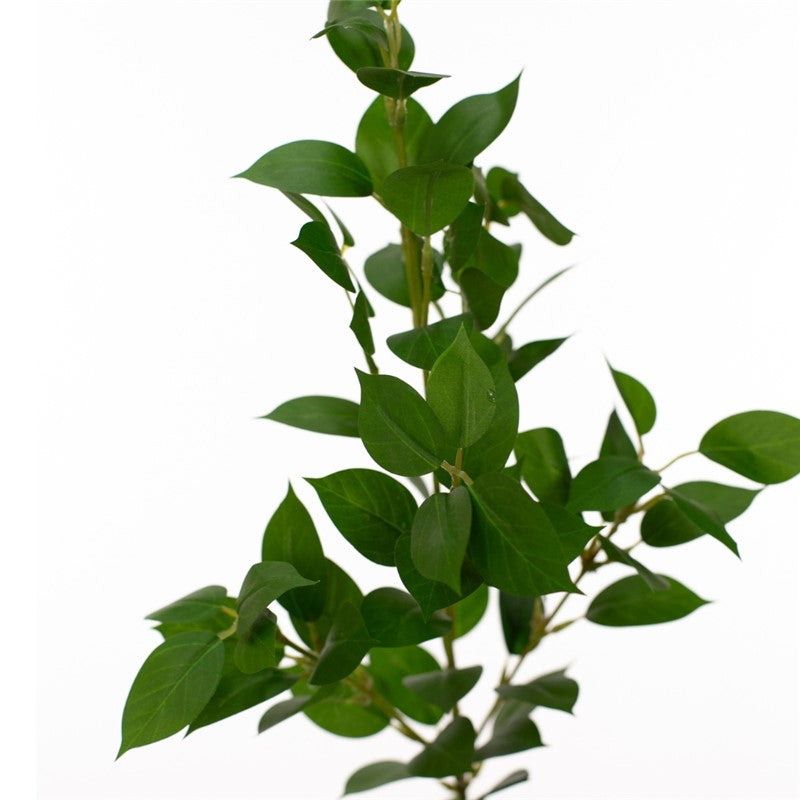 Vara ruscus aculeatus artificial