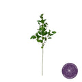 Vara ruscus aculeatus artificial