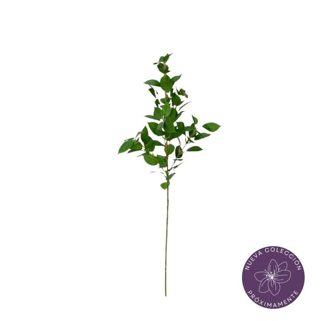 Vara ruscus aculeatus artificial