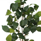 Vara hoja cleyera japonica artificial