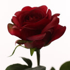 Vara rosa artificial 51 cm real touch