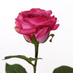 Vara rosa artificial 51 cm real touch