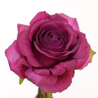 Vara rosa artificial real touch 69 cm