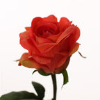 Vara rosa artificial 51 cm real touch