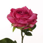 Vara rosa artificial real touch 69 cm