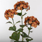 Vara allium artificial x3