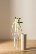 Vara Amaranth spray artificial