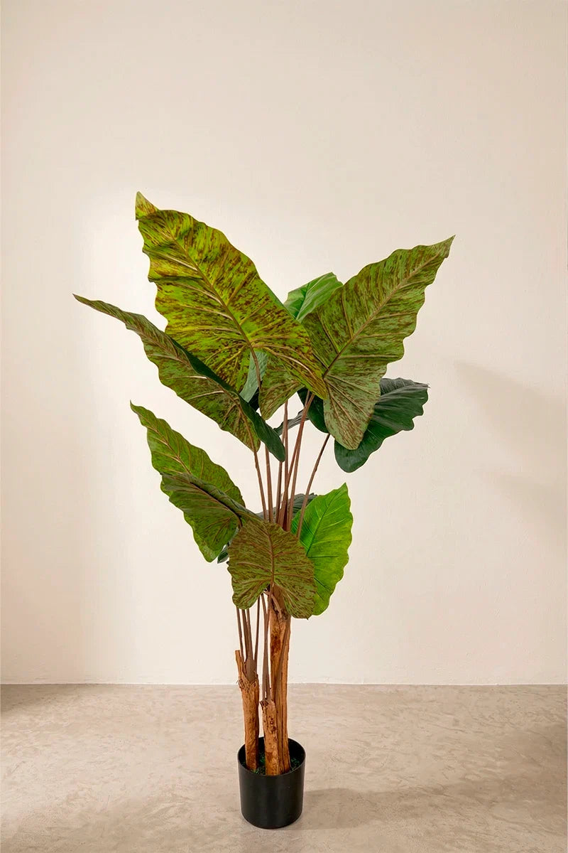 Planta Alocasia Artificial 150cm