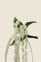 Vara Amaranth spray artificial