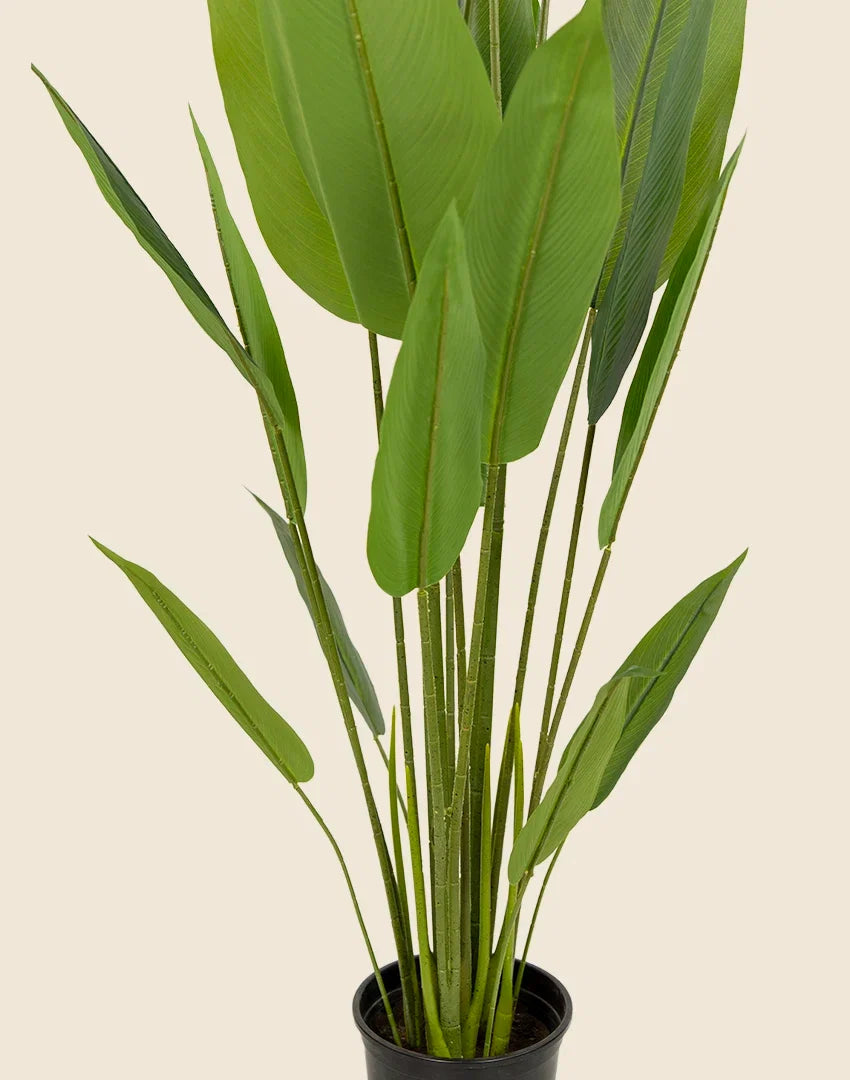 Planta Strelitzia Nicolai artificial 170 cm