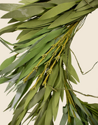 Coronal Laurel artificial