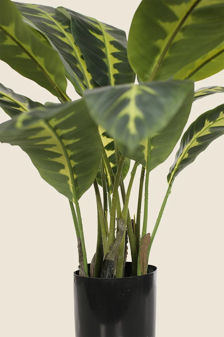 Calathea zebrina artificial 90cm