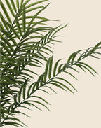Planta phoenix artificial