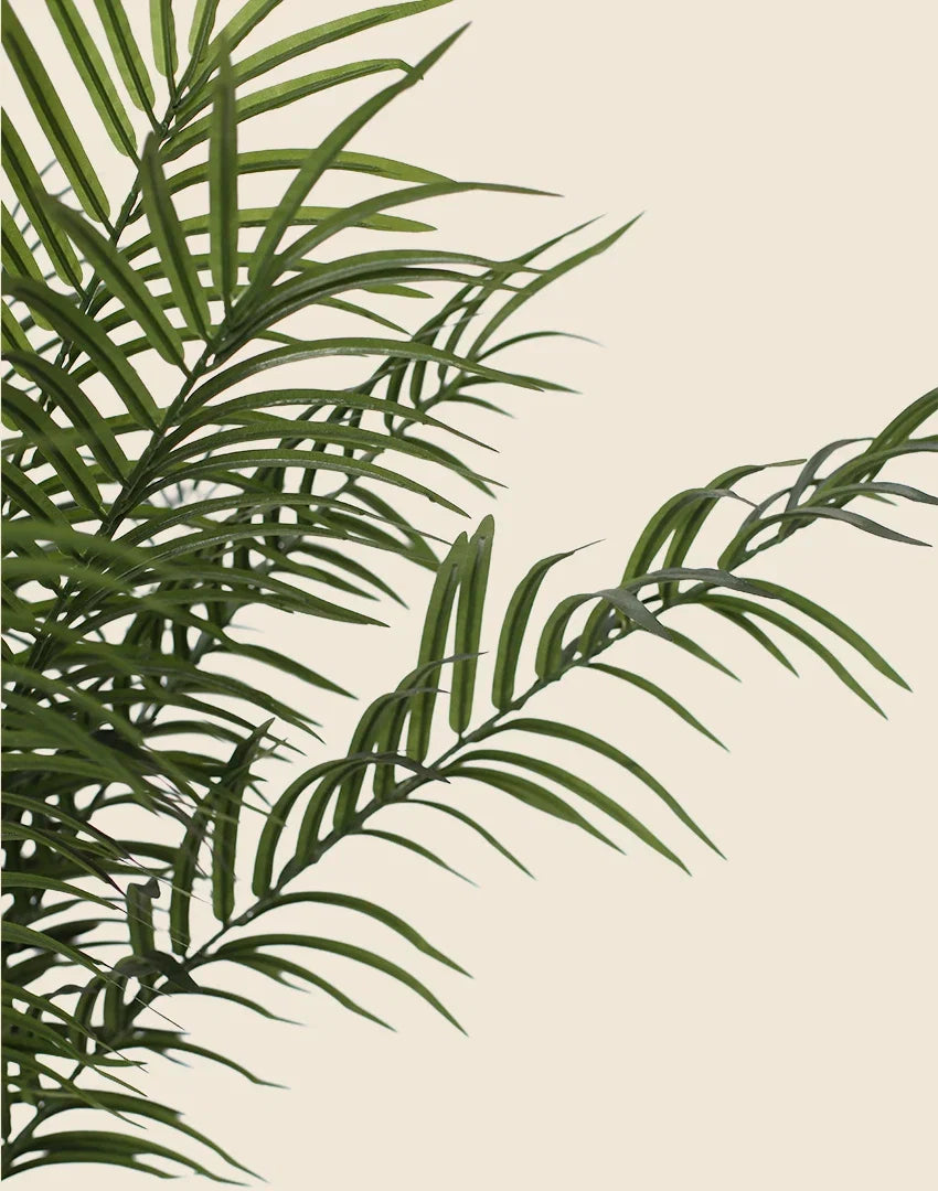 Planta phoenix artificial