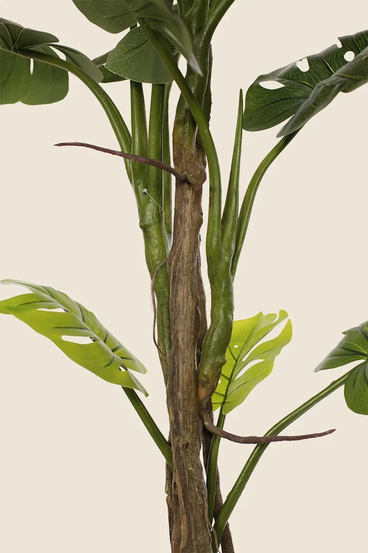 Planta Monstera artificial 180cm