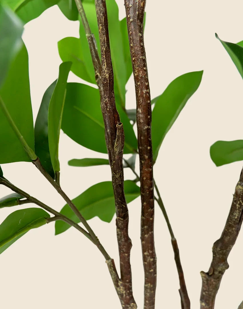 Planta magnolia artificial 150 cm