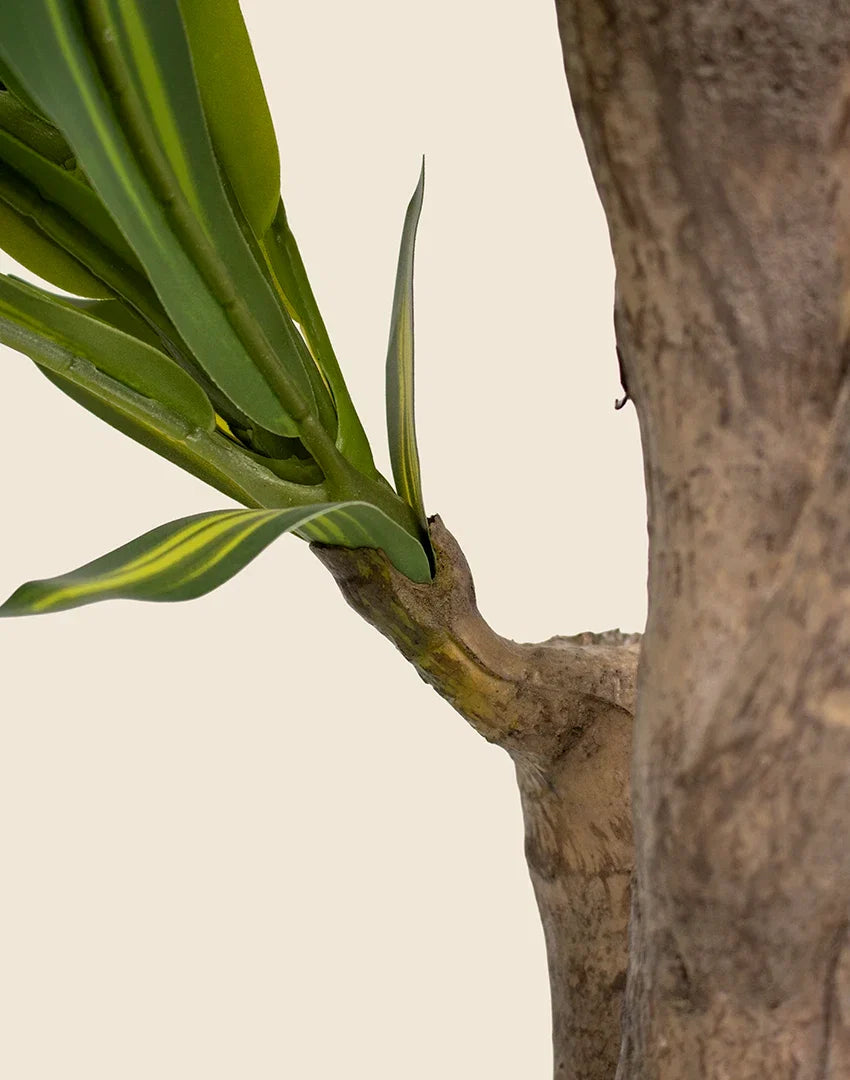 Planta Dracena artificial 170cm