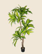 Planta Dracena artificial 170cm