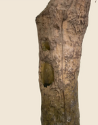 Planta Dracena artificial 170cm