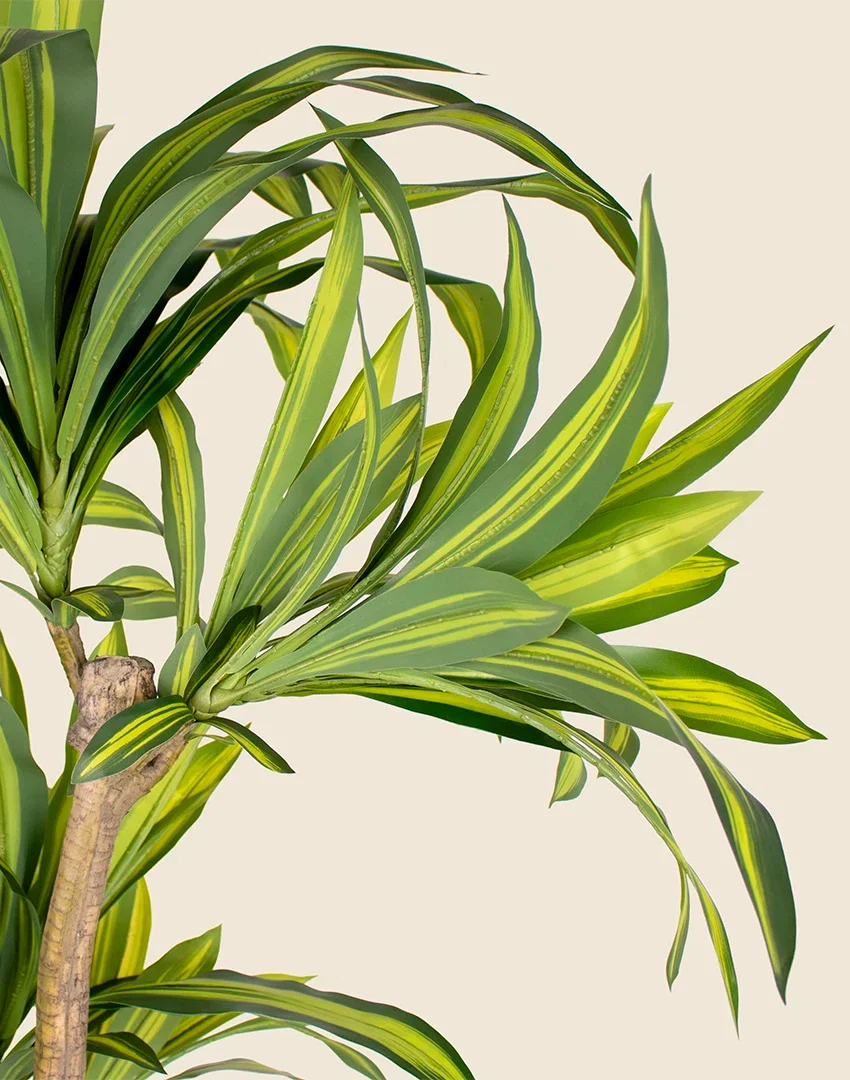 Planta Dracena artificial 170cm