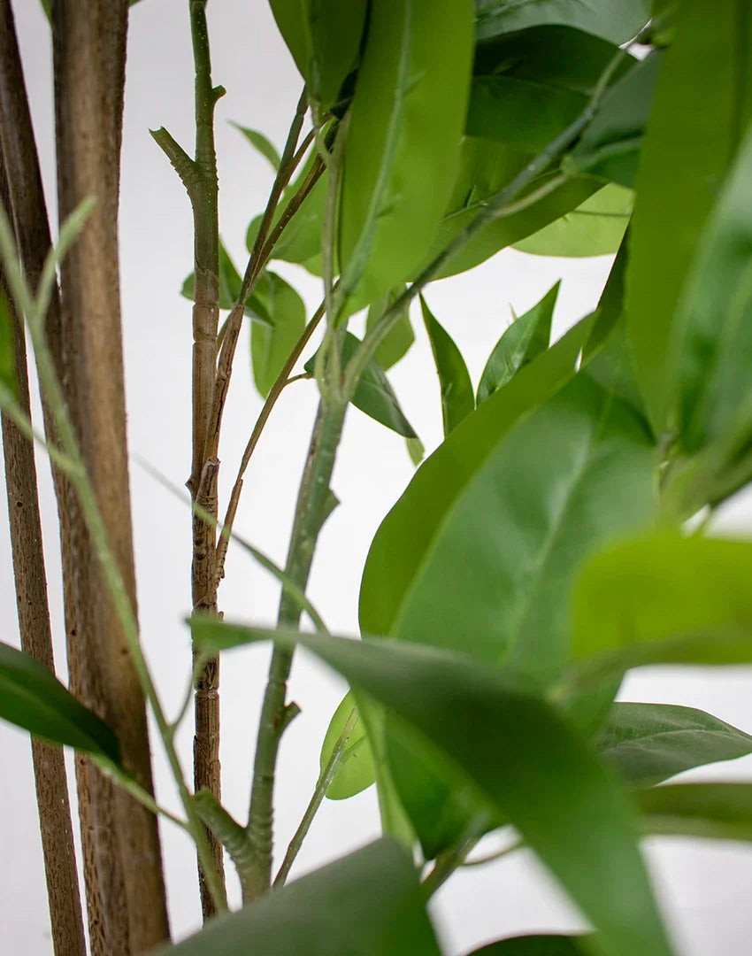Planta eucalyptus artificial 180cm