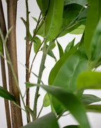 Planta eucalyptus artificial 180cm